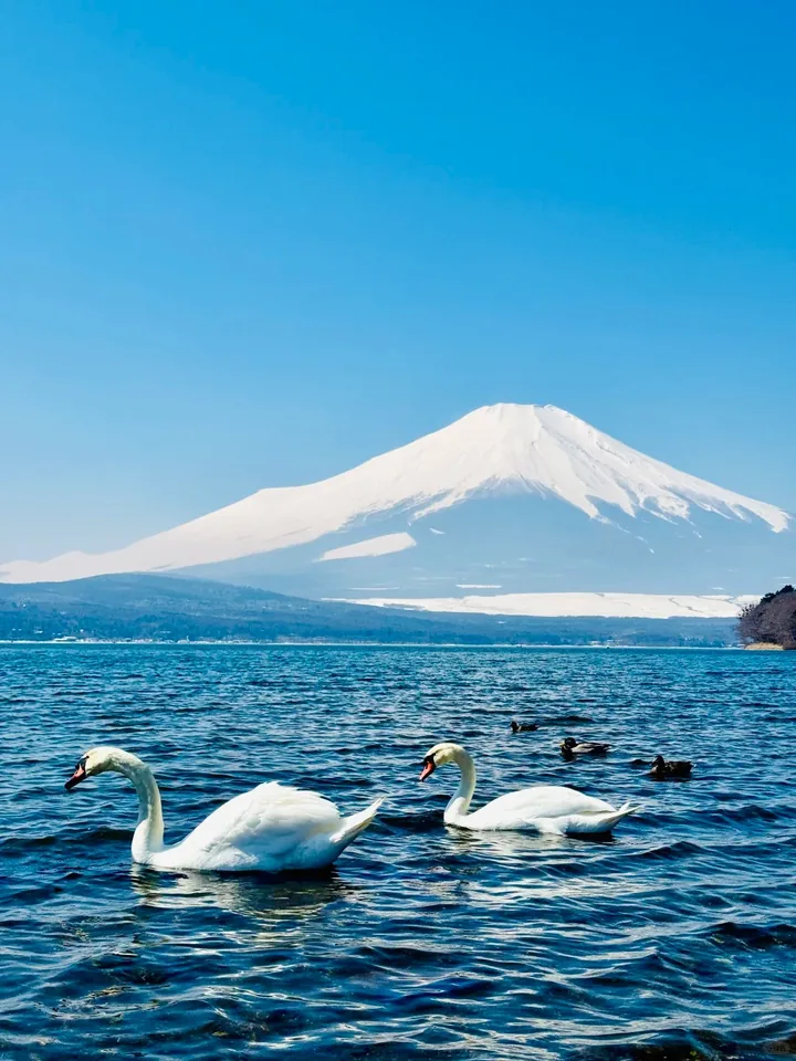 富士山一日游