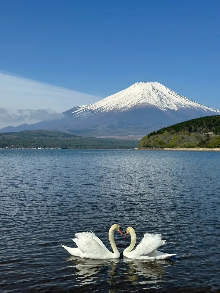 富士山一日游